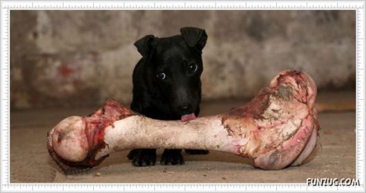 Mix Fun Pictures of the Day