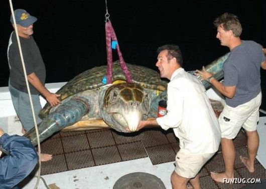 Mixx Funny Pictures Collection