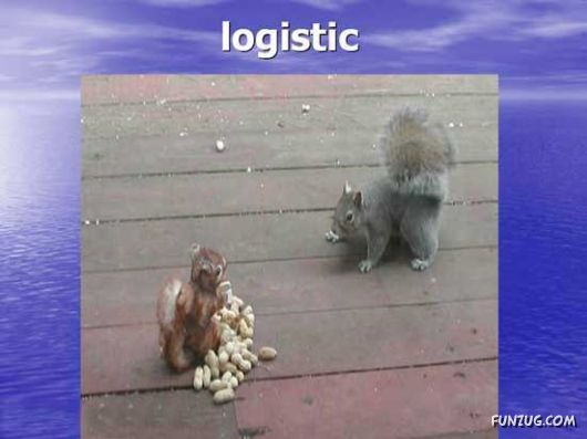 Our New Office Staff