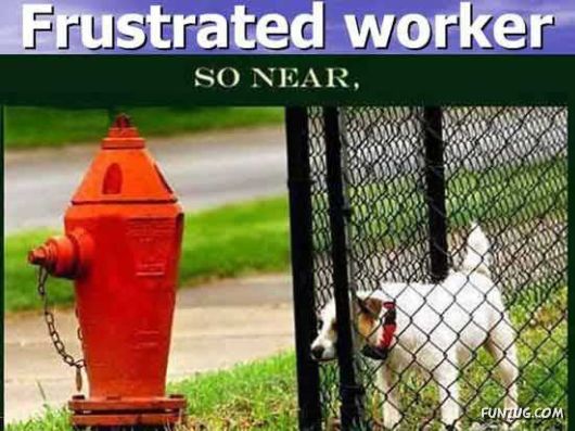 Our New Office Staff