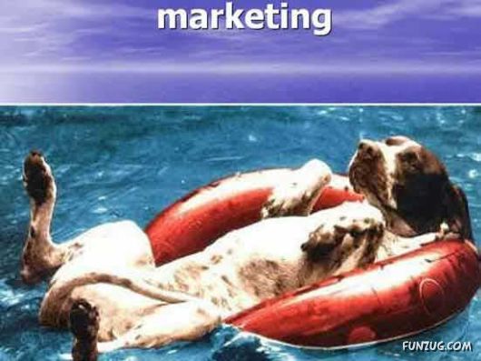 Our New Office Staff