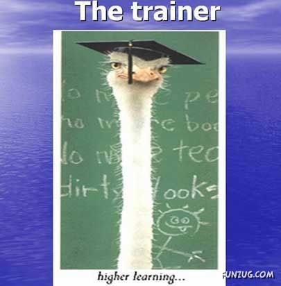 Our New Office Staff