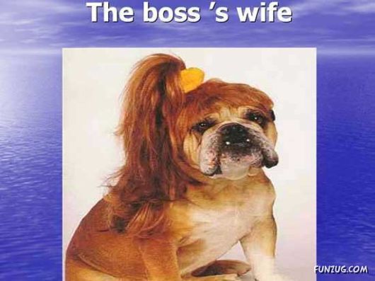 Our New Office Staff