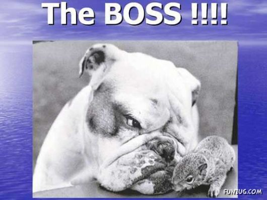 Our New Office Staff