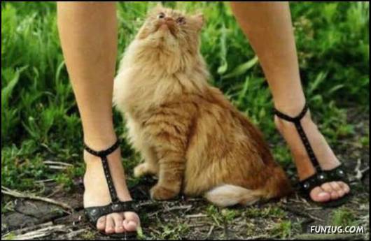 Notty peOple Funny Photography (+18)