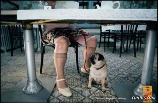 Notty peOple Funny Photography (+18)