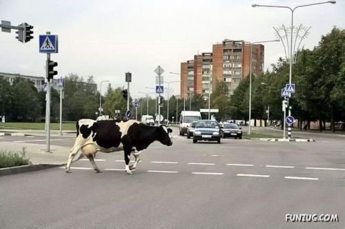 It Happens Only in Russia