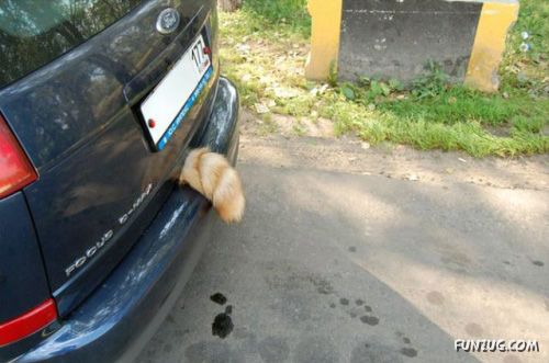 It Happens Only in Russia