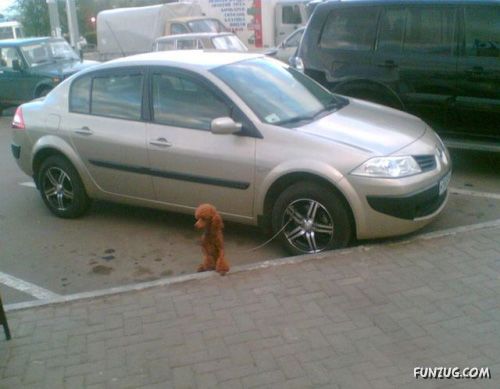 It Happens Only in Russia