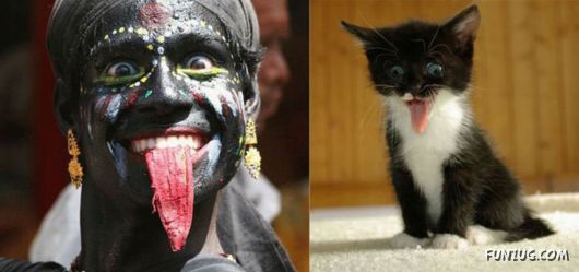 People & Animals Look Alike
