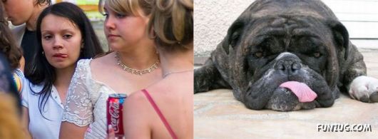 People & Animals Look Alike