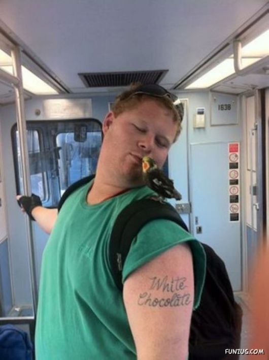 Adventures In Public Transportation