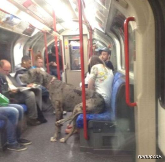 Adventures In Public Transportation