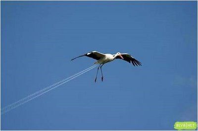 Funny Right Angle Images