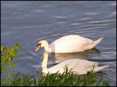 Funny Right Angle Images