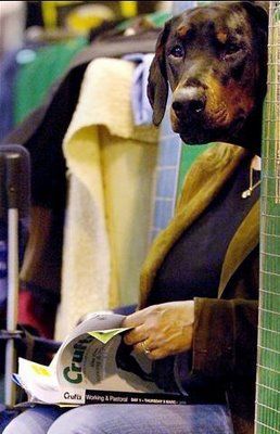 Funny Right Angle Images