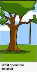 For Only Software Engineer Guys and Gals