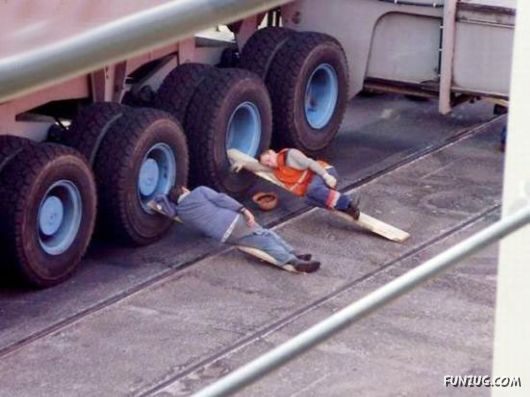 Curious Miscellaneous Funny Photos