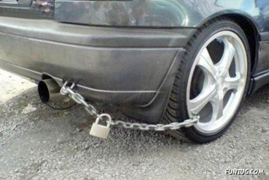 Curious Miscellaneous Funny Photos