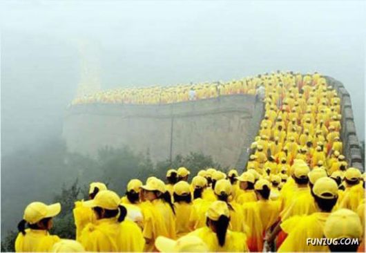 Curious Miscellaneous Funny Photos