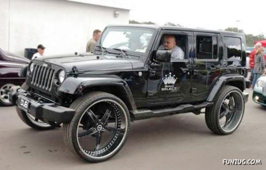 Curious Miscellaneous Funny Photos