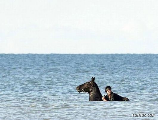 Curious Miscellaneous Funny Photos