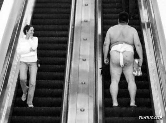 Curious Miscellaneous Funny Photos