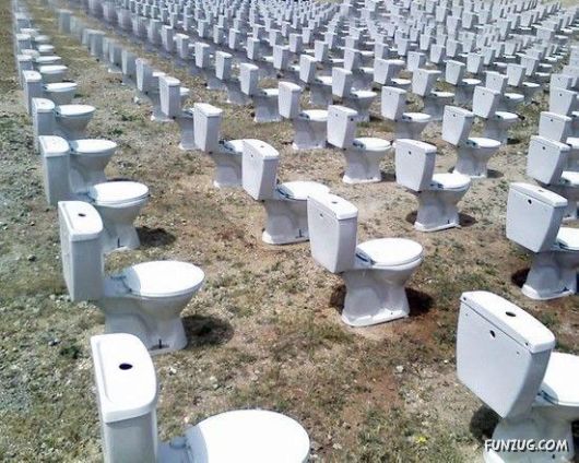 Curious Miscellaneous Funny Photos