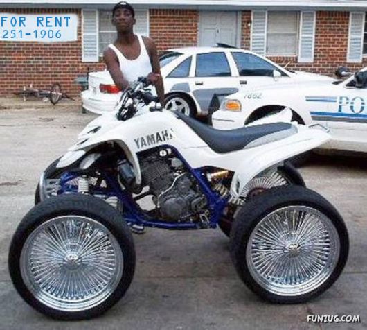 Curious Miscellaneous Funny Photos