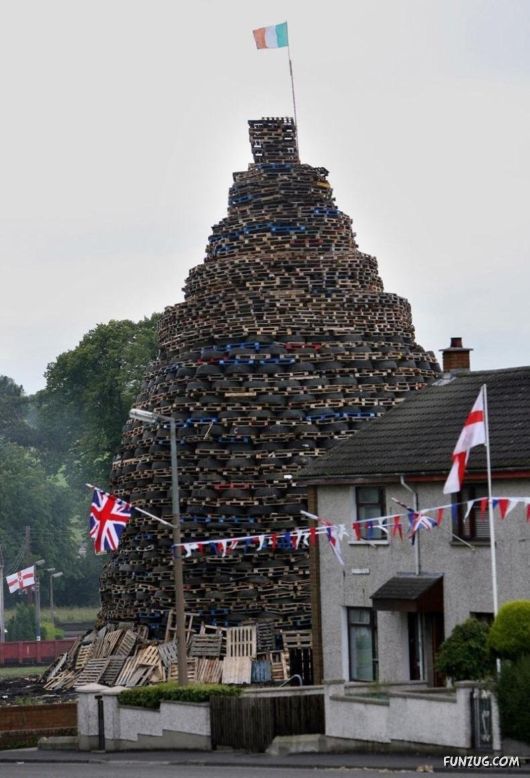 Some Variety Camera Clicks