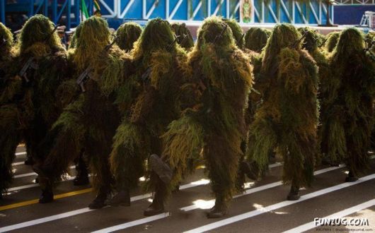 Some Variety Camera Clicks