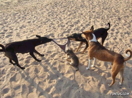 Why This Family is Fighting ?