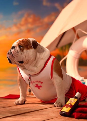 Very Cute Dog [Never Seen Before]