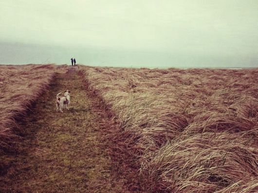 iPhone Photography Awards 2014