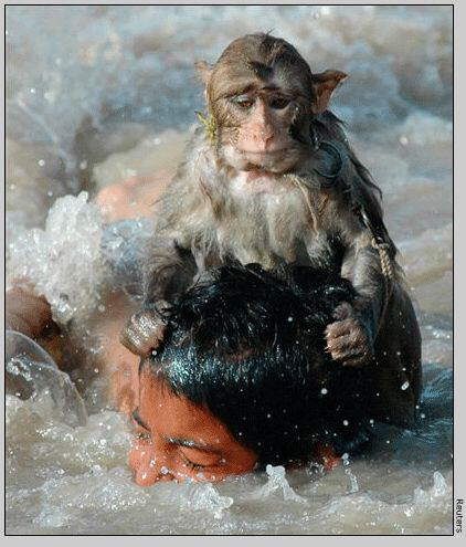 Some Speaking Images