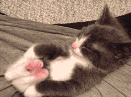 Things You Can Do To Prevent A Cold Before It Begins