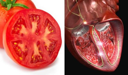 Helpful Foods That Look Like Body Parts
