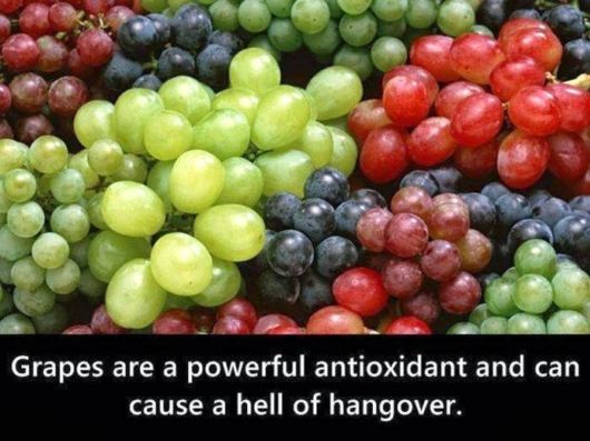 Nature's Gift Of 20 Best Fruits For Your Health