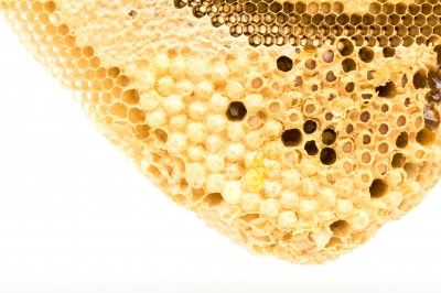 The Nutritional Remedies Of Different Nations