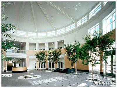 Employee Termination Still Continues