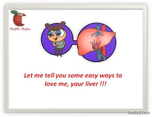Interesting Facts about Liver