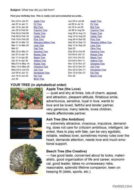 Find Your Personality in Trees