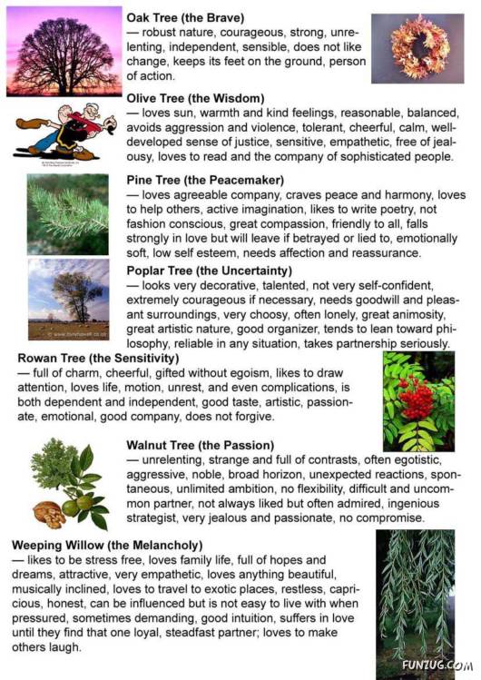 Find Your Personality in Trees