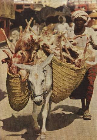 Haj Pilgrimage in 1953 (Rare Pictures)