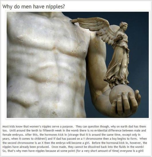 Interesting Facts about Human Body (Must Read)
