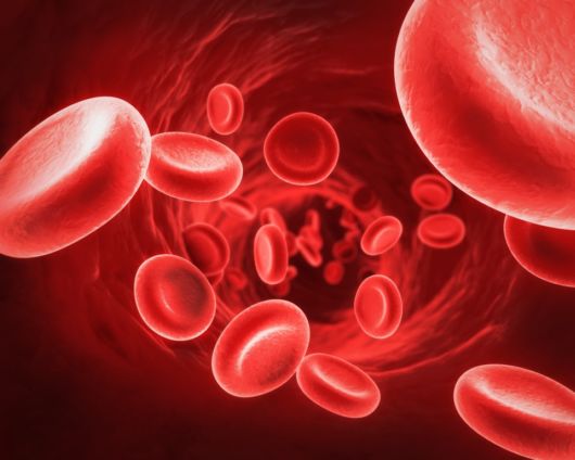 Insane Facts You Never Knew About Human Body