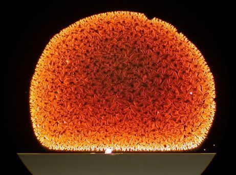 National Geographic's Top 10 Most Viewed Photos of 2008