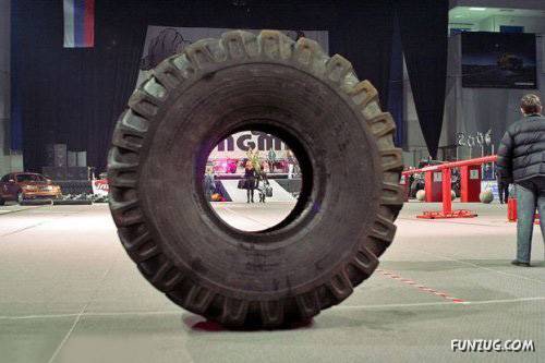 Worlds Strongest Man World Cup Bodybuilder