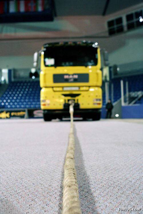 Worlds Strongest Man World Cup Bodybuilder