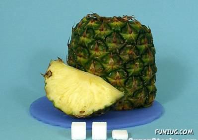 Sugar Cubes in Our Food!